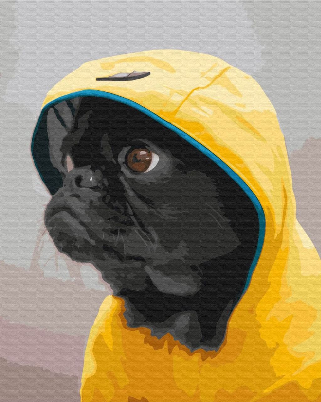 Мопс в худі