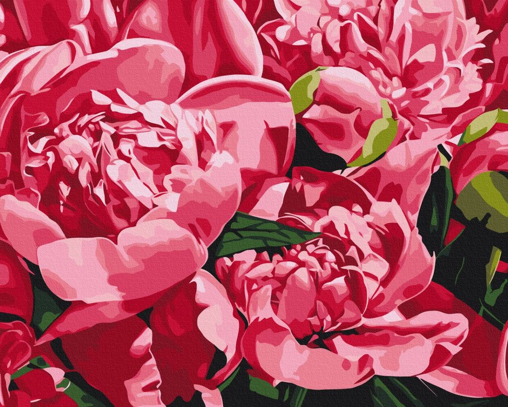 image_0