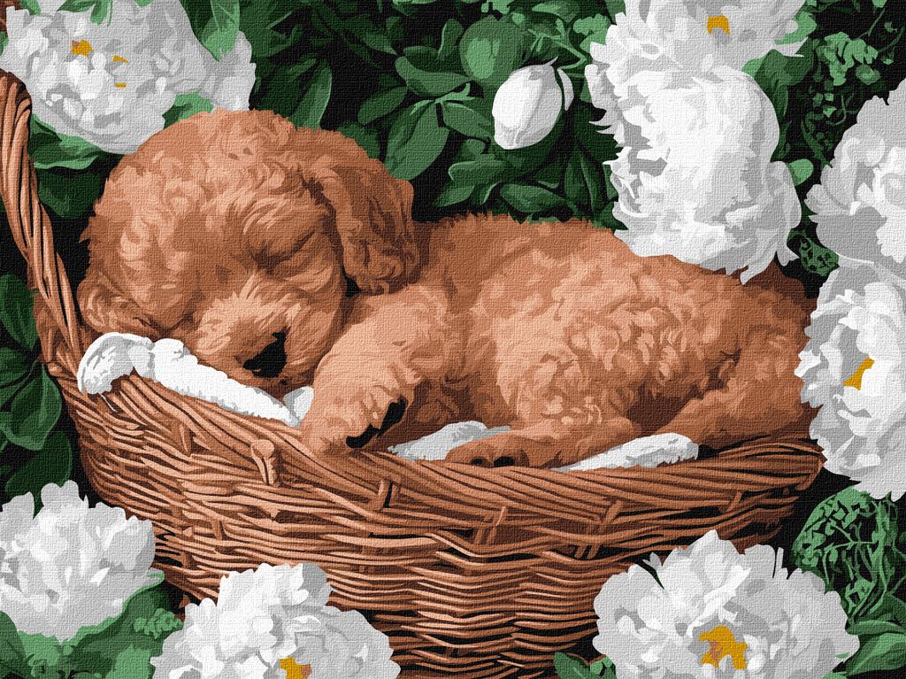 Сплячий пудель