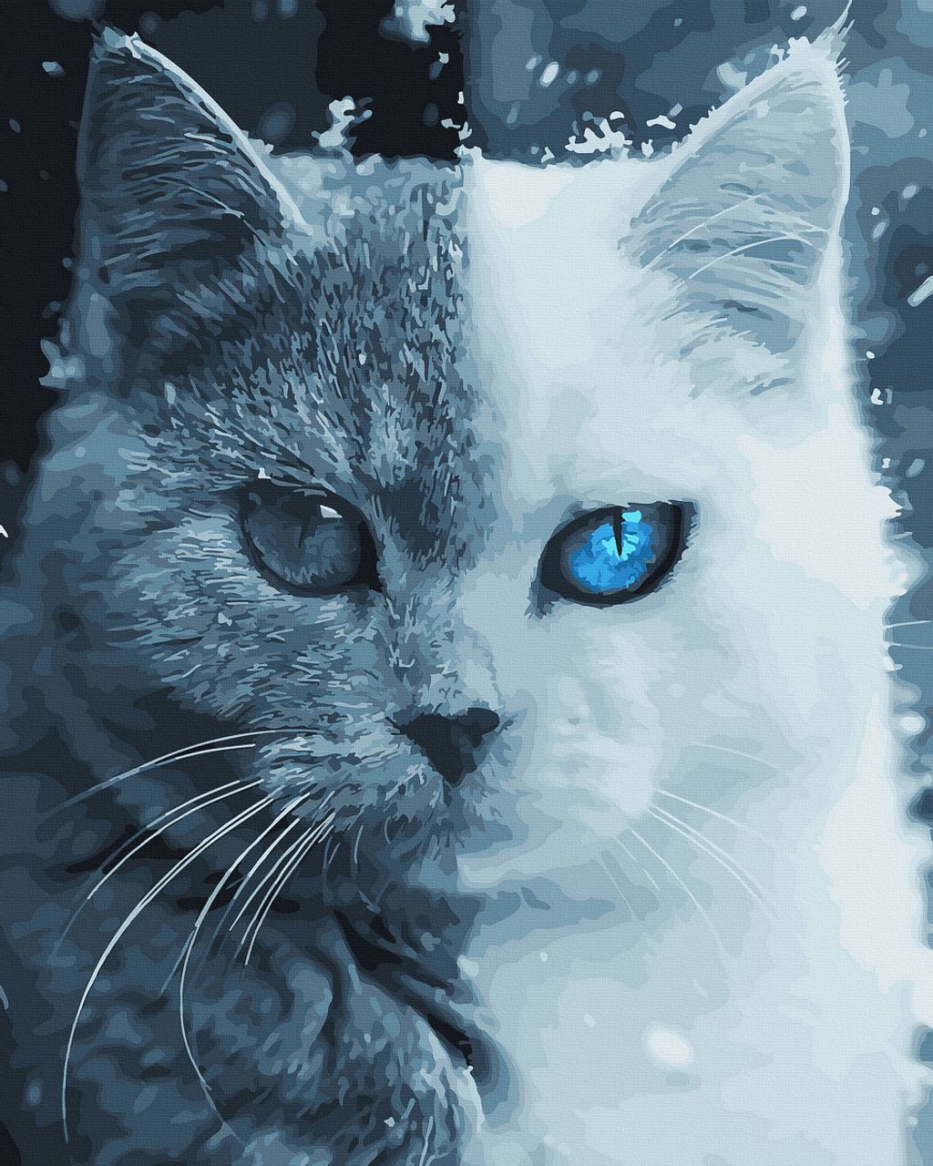 Дві сторони світла