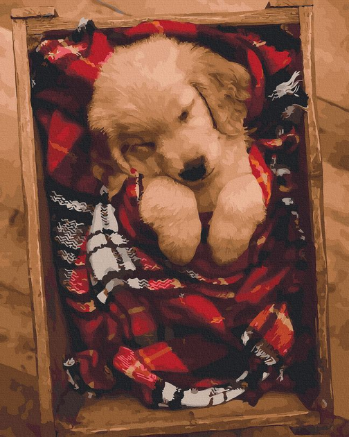 Спокій у пледі